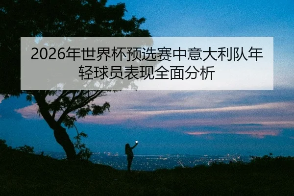 nian-shi-jie-bei-yu-xuan-sai-zhong-yi-da-li-dui-nian-qing-qiu-yuan-biao-xian-quan-mian-fen-xi-2-579.jpg