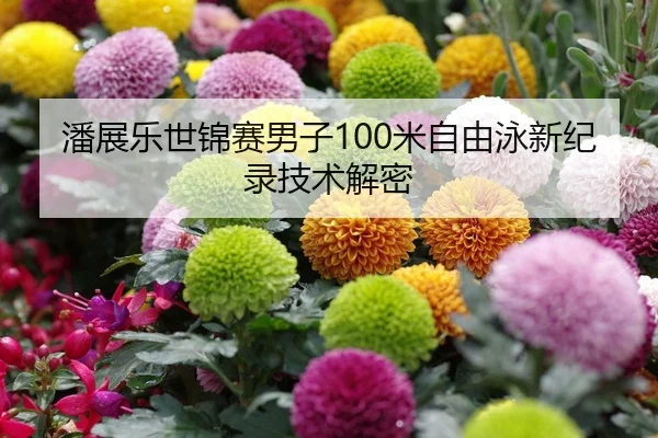 潘展乐世锦赛男子100米自由泳新纪录技术解密